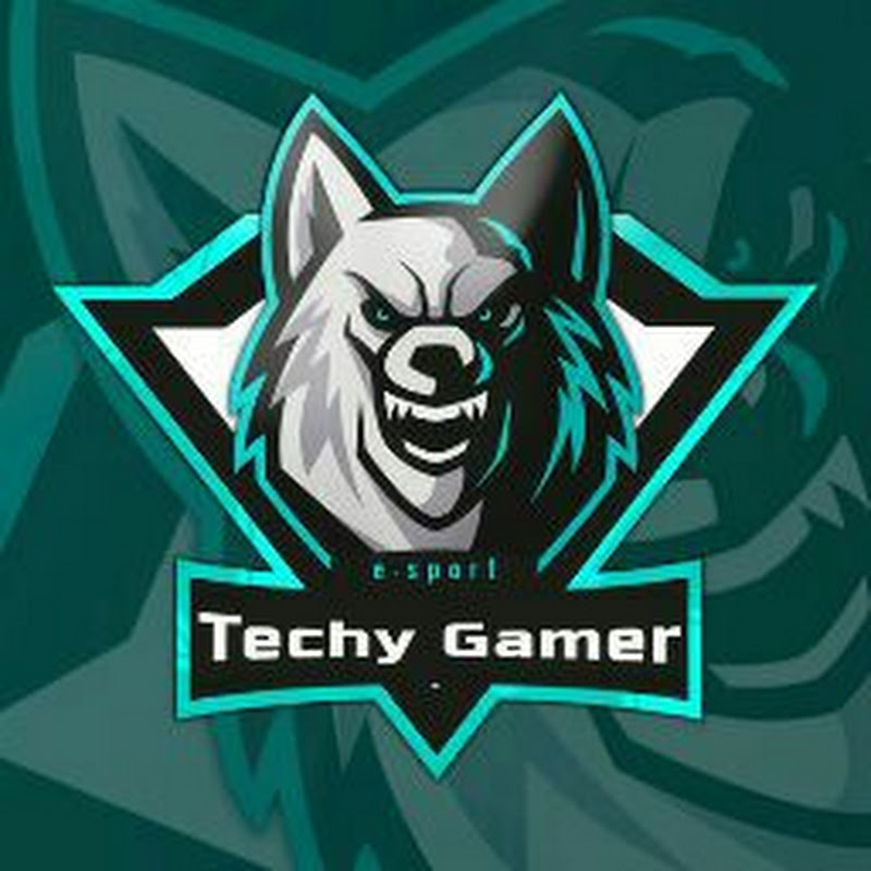 Techy Gamer