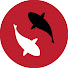 5EOSdneqXMo-channel-avatar-The Koi Channel