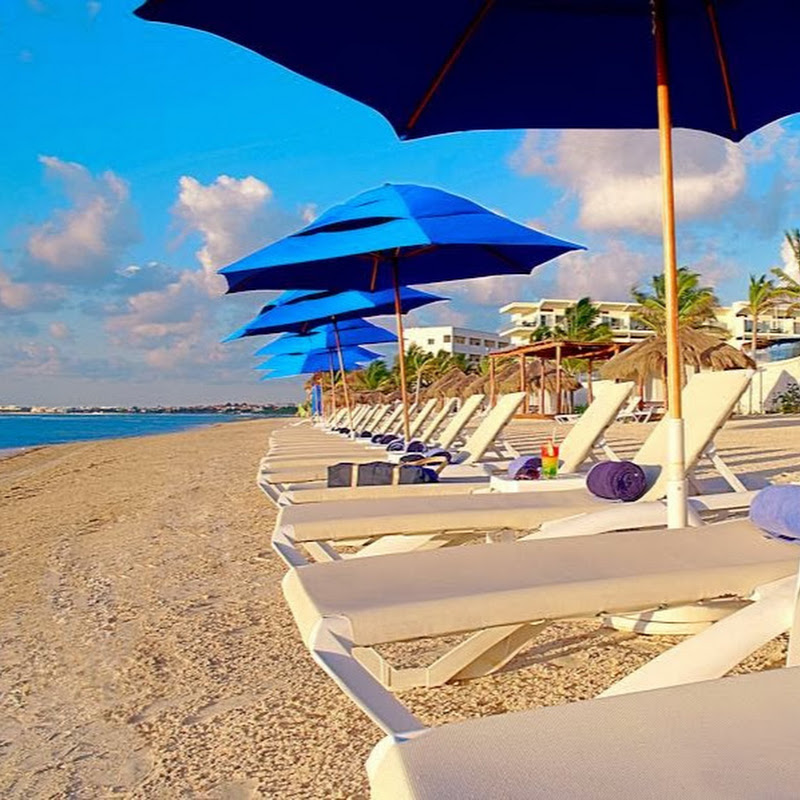 Dream Vacations