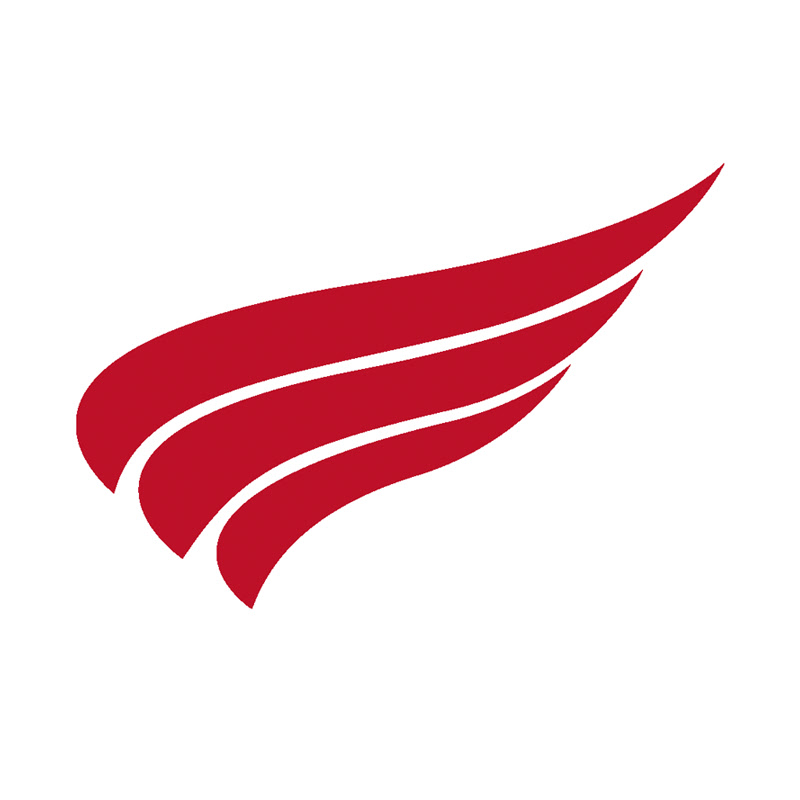 CityofRedWing