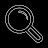 inspector