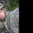 @randydavis7650 Avatar