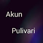 Akun Pulivari