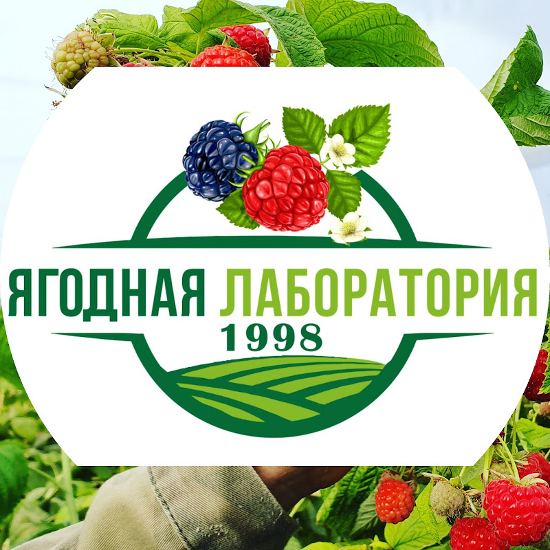 Ягодная Лаборатория Logo