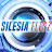 SILESIA FLESZ TVS