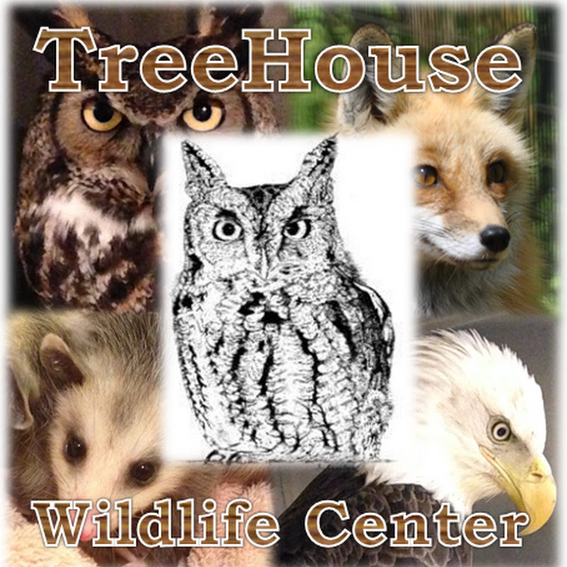 TreeHouse Wildlife Center profile avatar
