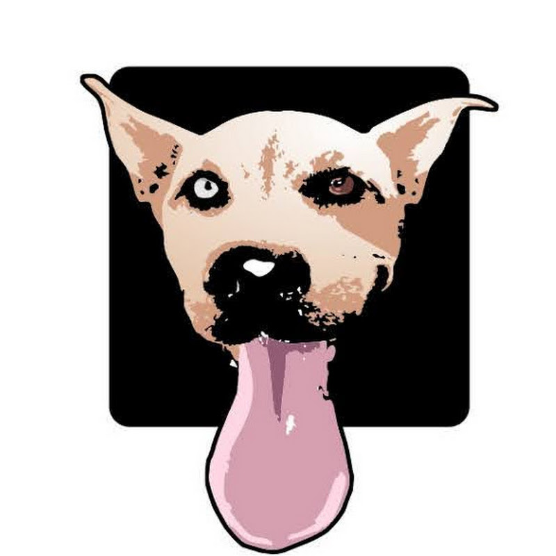 The Dapper Dog