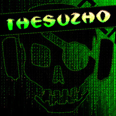 TheSuzho channel logo