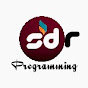 SDR Programming logo