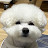 @로리보