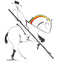 WEB Working Equitation Belgium logo