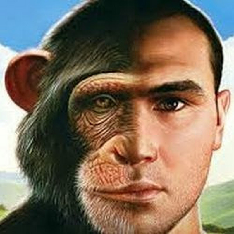 Channel Avatar