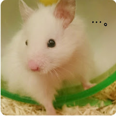 ごま