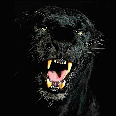 Pantera- Rem-26