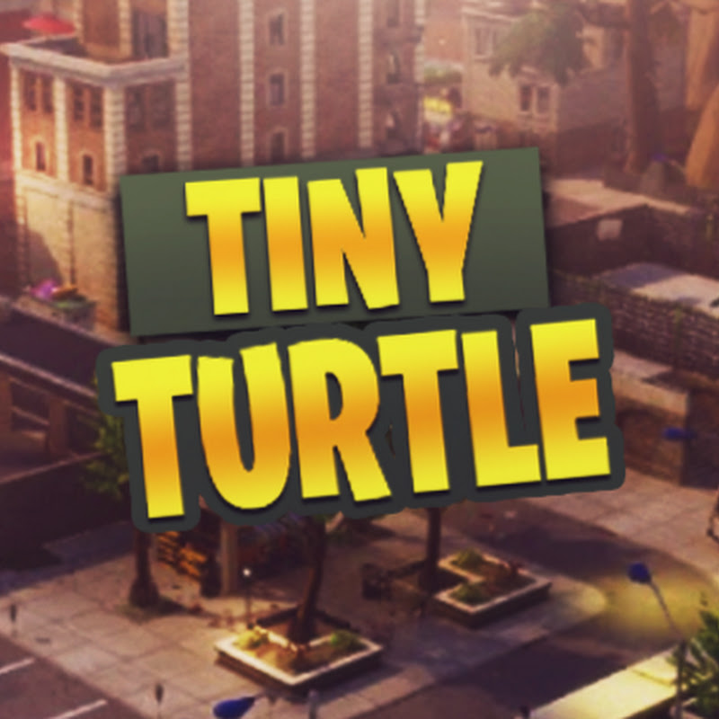 Tiny Turtle - Fortnite