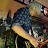 @MrHoyness's avatar