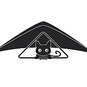 Glidercat
