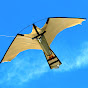 Peregrine Hawk Kites logo