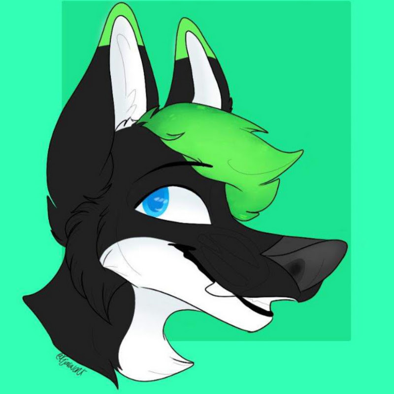 Jay Fox
