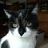 iwPMqS9jW5s-channel-avatar-NICOLEAU Mireille
