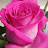 @mervatmostafa6505
