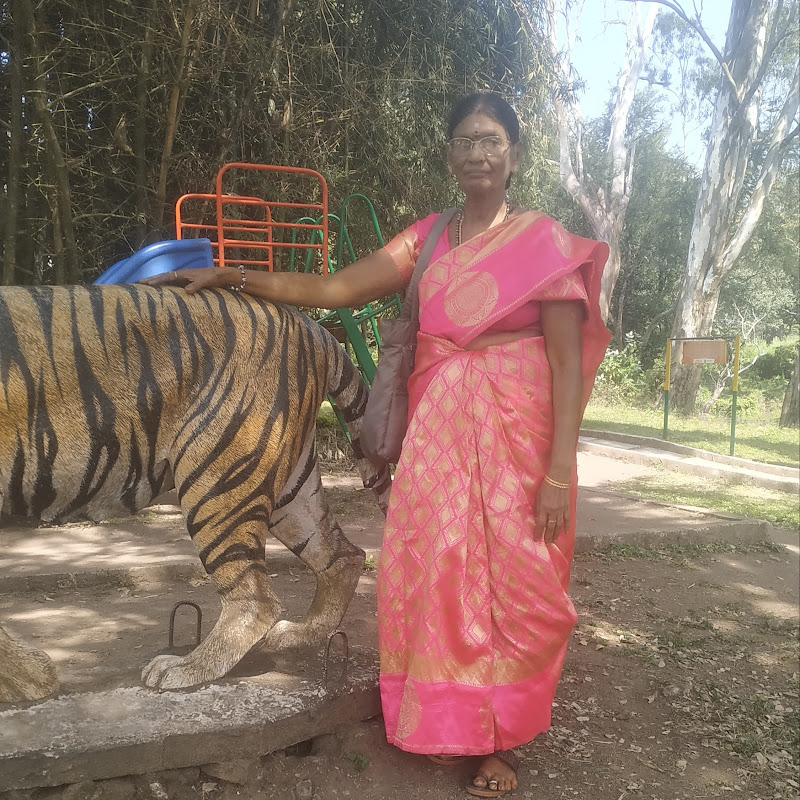 புண்ணிய ஜோதி புண்ணிய ஜோதி