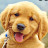 @alphamale068's avatar