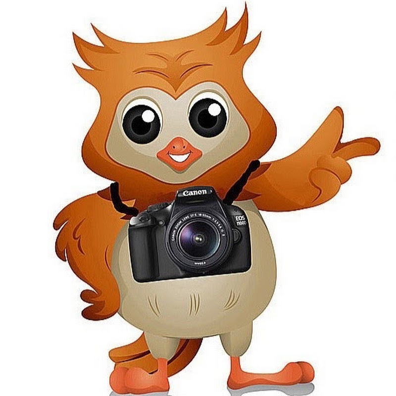 CameraWize Photography