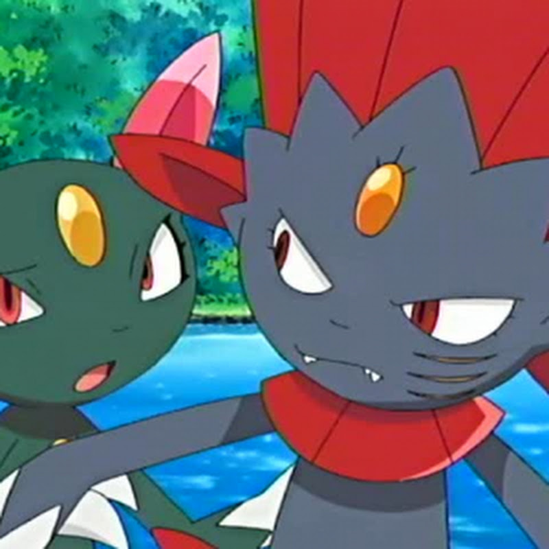 1337Weavile icon