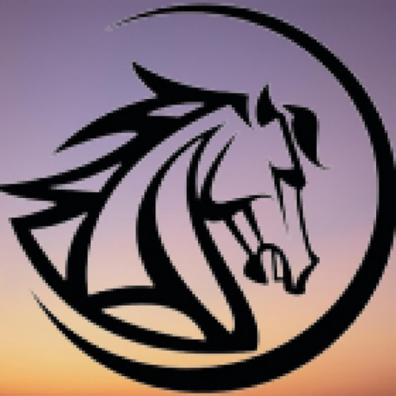 deDH GAMING