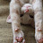 @user-ge3wz2pl2d