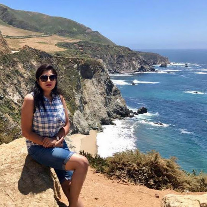 Odia Vlogger in the USA