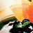 youtube avatar
