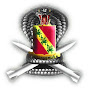 1-43 ADA "Cobra Strike" Battalion logo