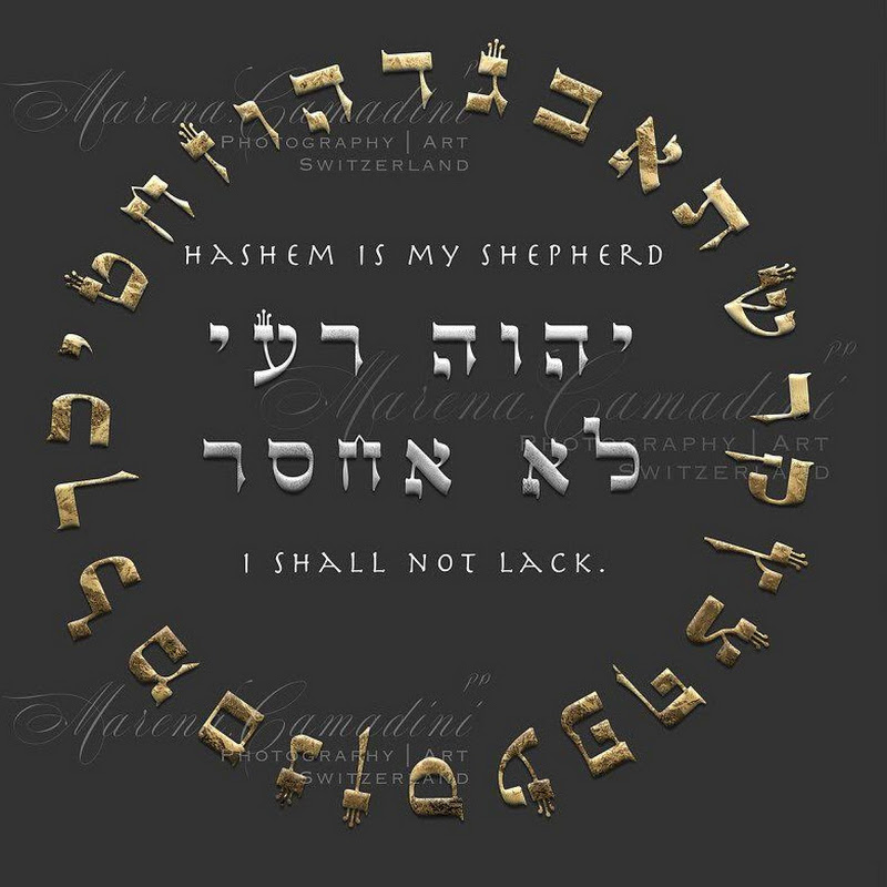 Beth Sar Shalom Florida