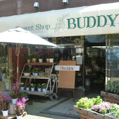フラワーショップバディーアイコン画像