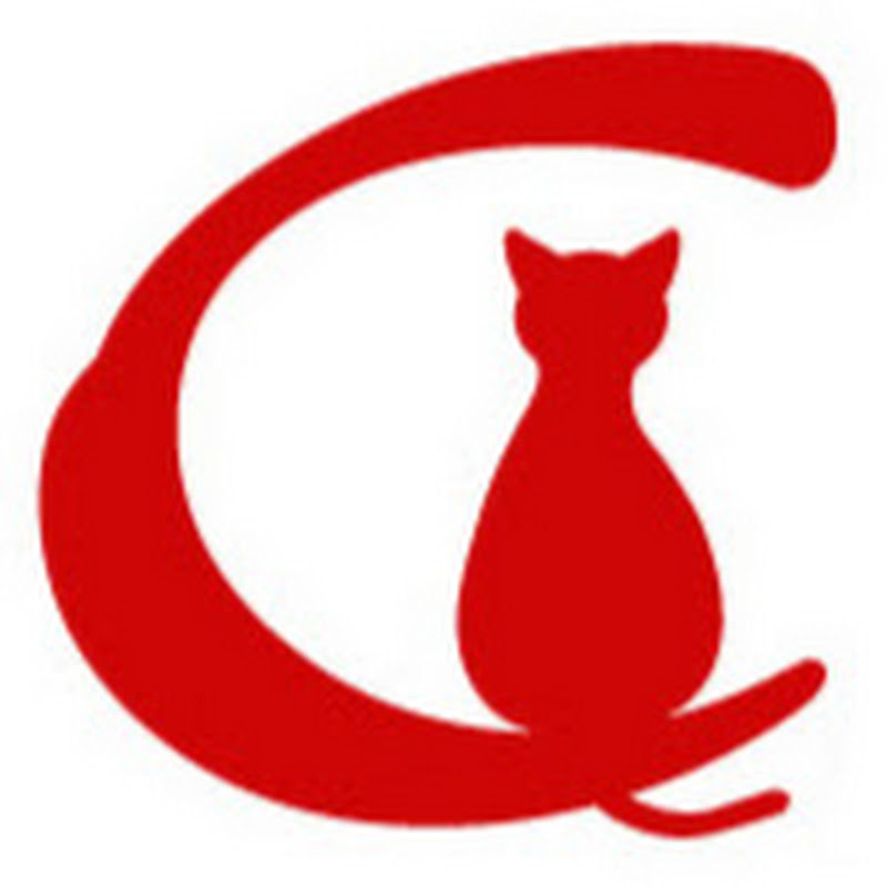 redcatcatamaranpanama5946