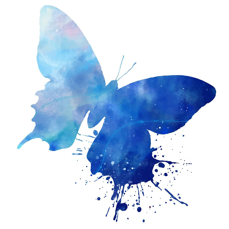 Midnight Butterfly Designs