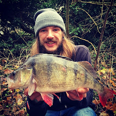 Perch Jesus