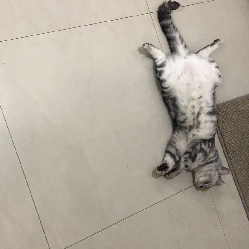 許堯鈞日常 Logo