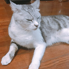 ぜくすZX