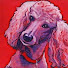 AReC2EF1Yc0-channel-avatar-MissPoochSmooch