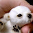 @NICK-qd7yf