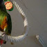 NZ_Es4G4Xr8-channel-avatar-angel281282