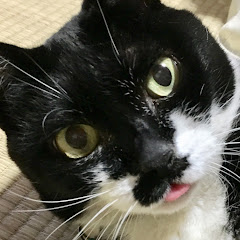 オヤジ姉ちゃん