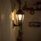 Petit Fleur