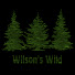D9U8Nrf3h1w-channel-avatar-Wilson's Wild