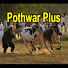0s1w57Z0HDg-channel-avatar-Pothwar Plus
