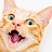 Gatos Exoticos