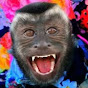 Monkey Happy Life logo